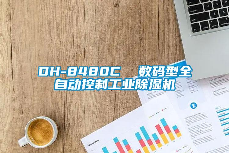 DH-8480C  数码型全自动控制工业草莓视频APP在线观看