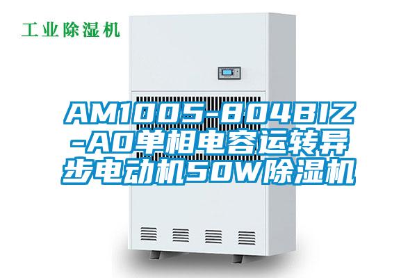 AM1005-804BIZ-A0单相电容运转异步电动机50W草莓视频APP在线观看