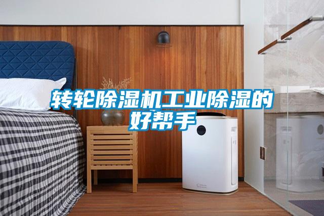 转轮草莓视频APP在线观看工业除湿的好帮手