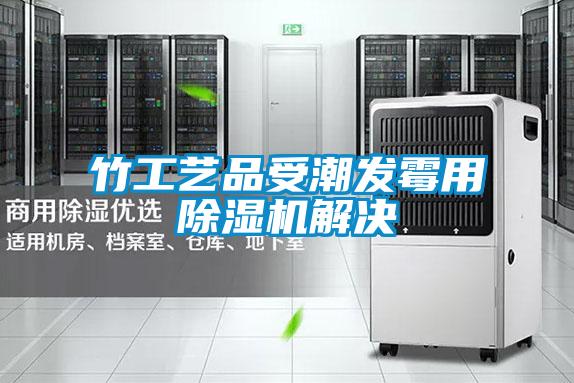 竹工艺品受潮发霉用草莓视频APP在线观看解决