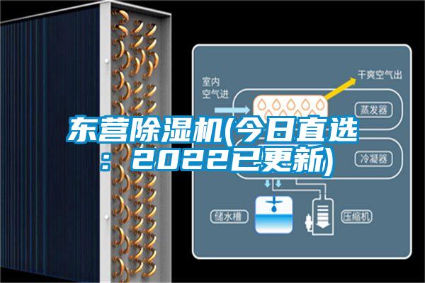 东营草莓视频APP在线观看(今日直选：2022已更新)