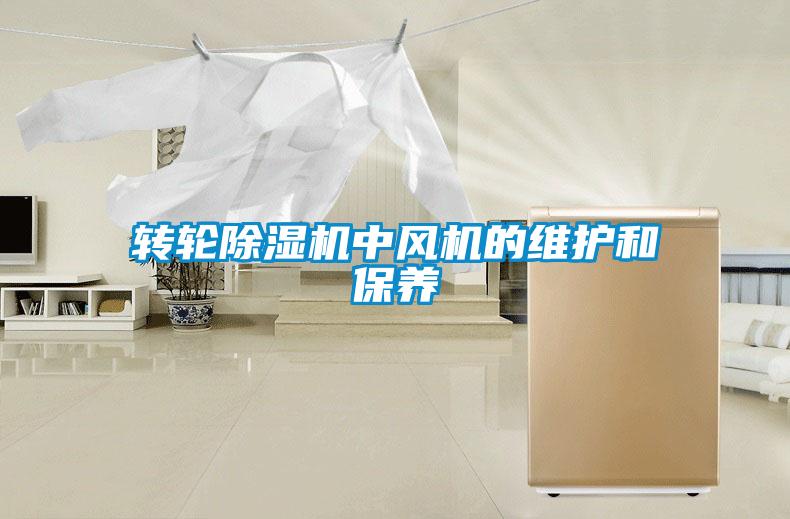 转轮草莓视频APP在线观看中风机的维护和保养
