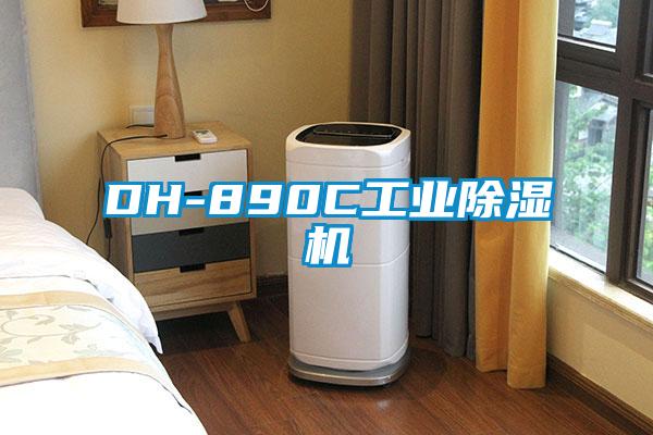DH-890C工业草莓视频APP在线观看