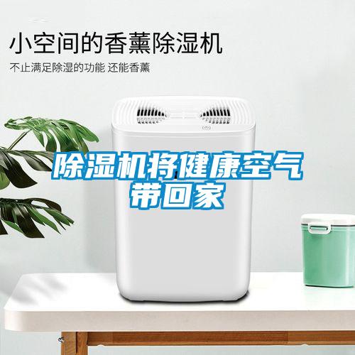 草莓视频APP在线观看将健康空气带回家