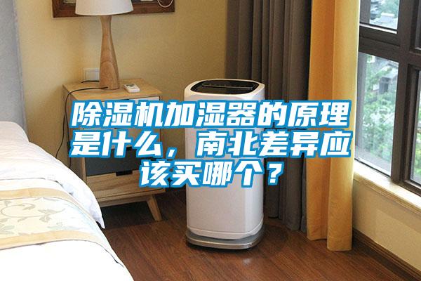 草莓视频APP在线观看加湿器的原理是什么，南北差异应该买哪个？
