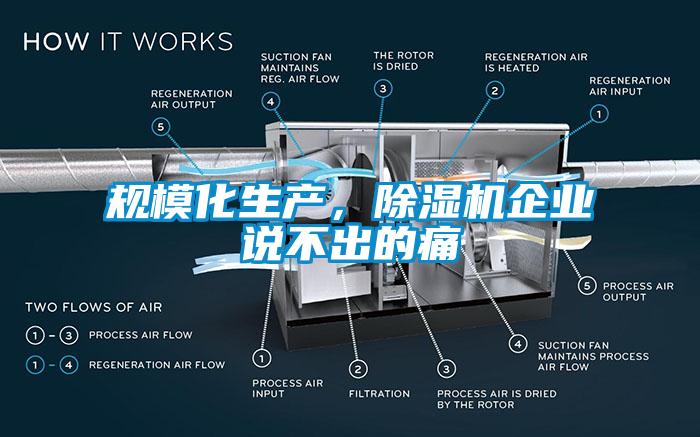规模化生产，草莓视频APP在线观看企业说不出的痛