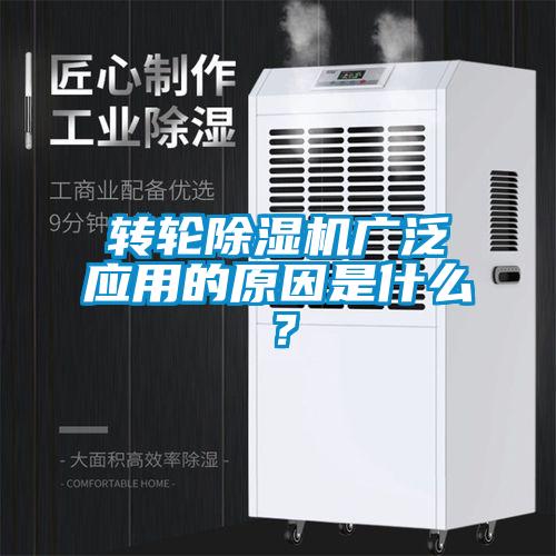 转轮草莓视频APP在线观看广泛应用的原因是什么？