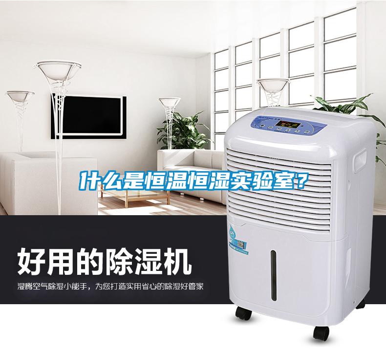 什么是恒温恒湿实验室？