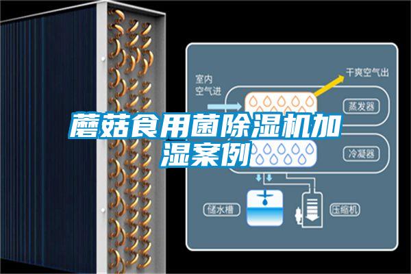 蘑菇食用菌草莓视频APP在线观看加湿案例