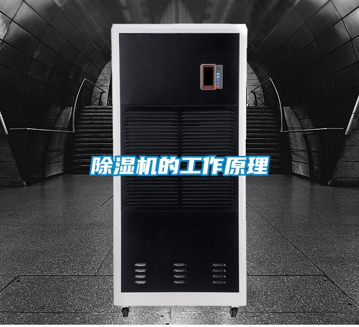 草莓视频APP在线观看的工作原理