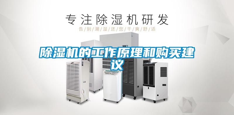 草莓视频APP在线观看的工作原理和购买建议