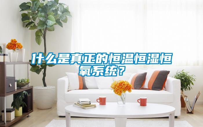 什么是真正的恒温恒湿恒氧系统？