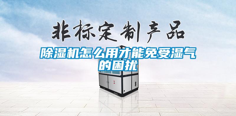 草莓视频APP在线观看怎么用才能免受湿气的困扰