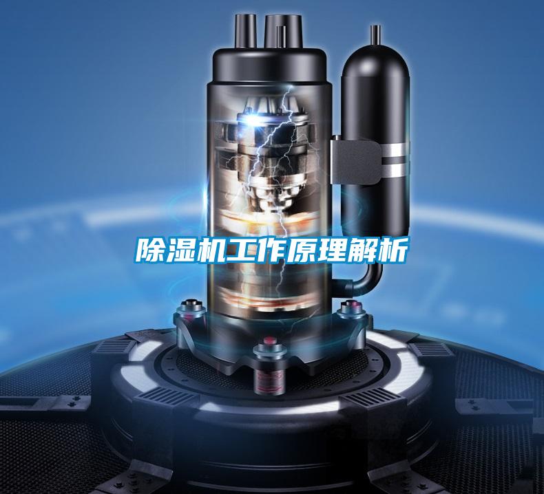 草莓视频APP在线观看工作原理解析