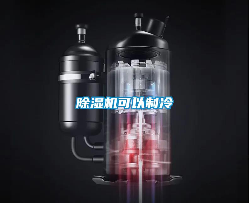 草莓视频APP在线观看可以制冷