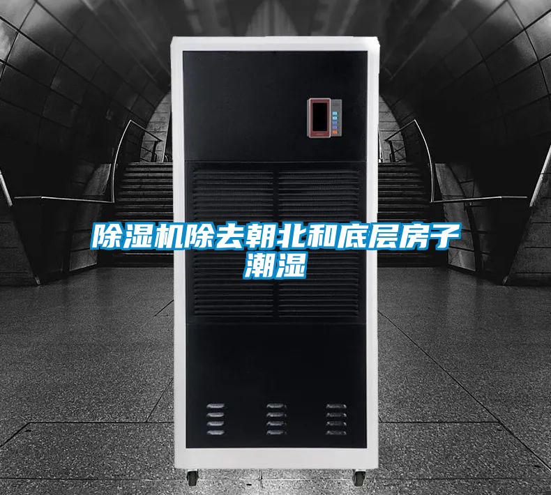 草莓视频APP在线观看除去朝北和底层房子潮湿