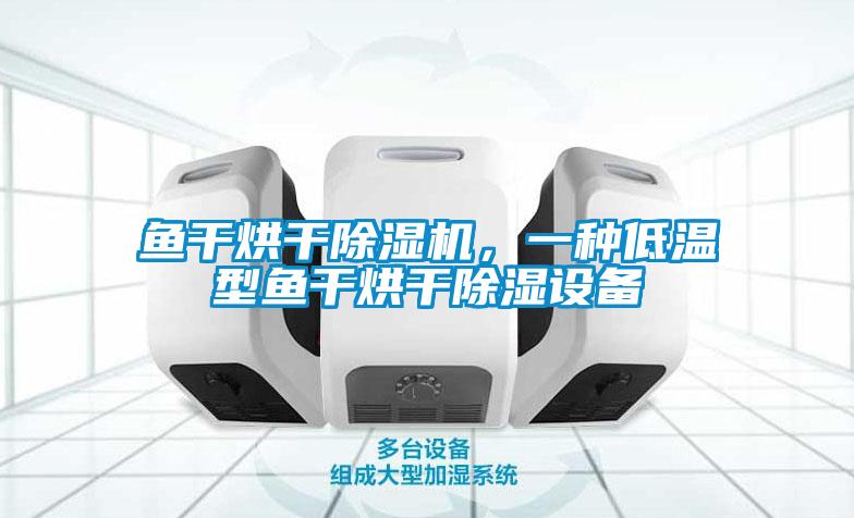 鱼干烘干草莓视频APP在线观看，一种低温型鱼干烘干除湿设备