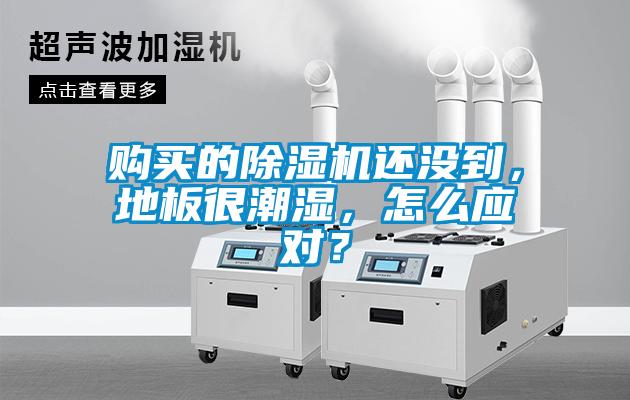 购买的草莓视频APP在线观看还没到，地板很潮湿，怎么应对？