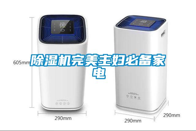草莓视频APP在线观看完美主妇必备家电