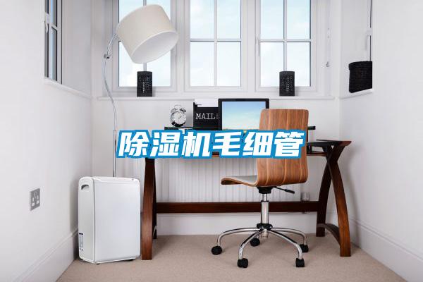 草莓视频APP在线观看毛细管