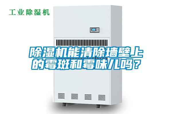 草莓视频APP在线观看能清除墙壁上的霉斑和霉味儿吗？