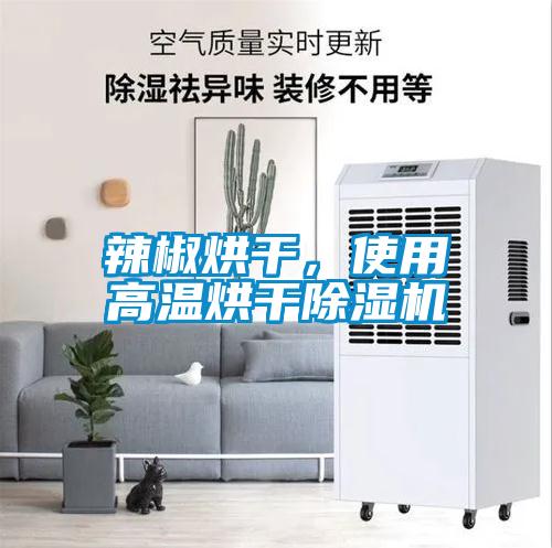辣椒烘干，使用高温烘干草莓视频APP在线观看