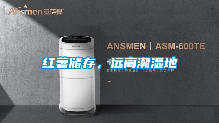红薯储存，远离潮湿地