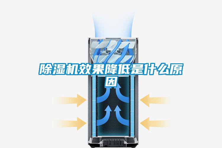 草莓视频APP在线观看效果降低是什么原因