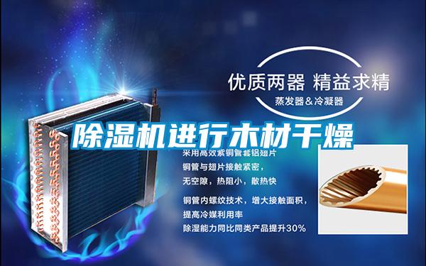 草莓视频APP在线观看进行木材干燥