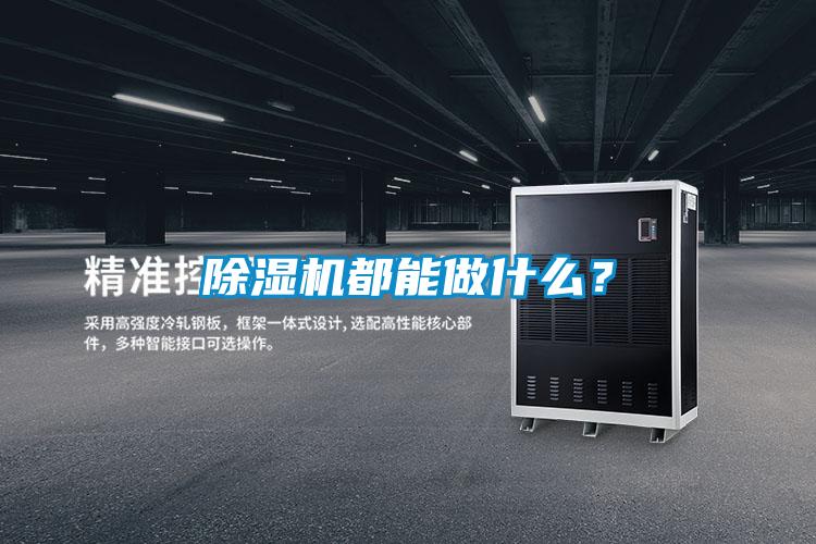 草莓视频APP在线观看都能做什么？