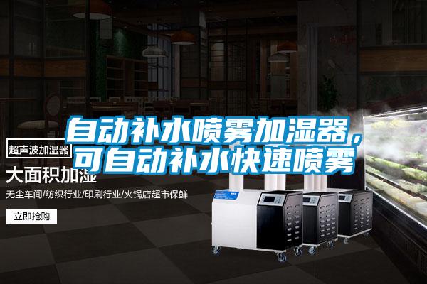 自动补水喷雾加湿器，可自动补水快速喷雾