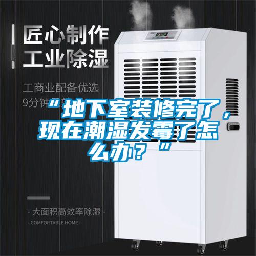 “地下室装修完了，现在潮湿发霉了怎么办？”