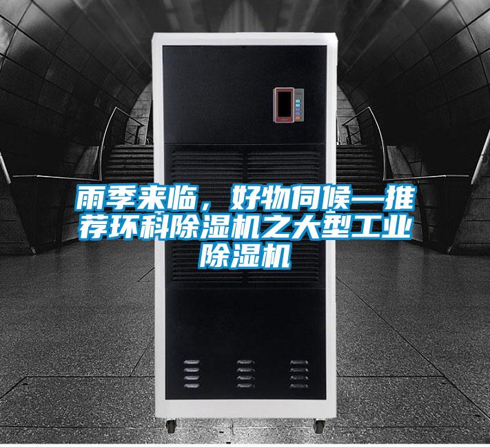雨季来临，好物伺候—推荐环科草莓视频APP在线观看之大型工业草莓视频APP在线观看