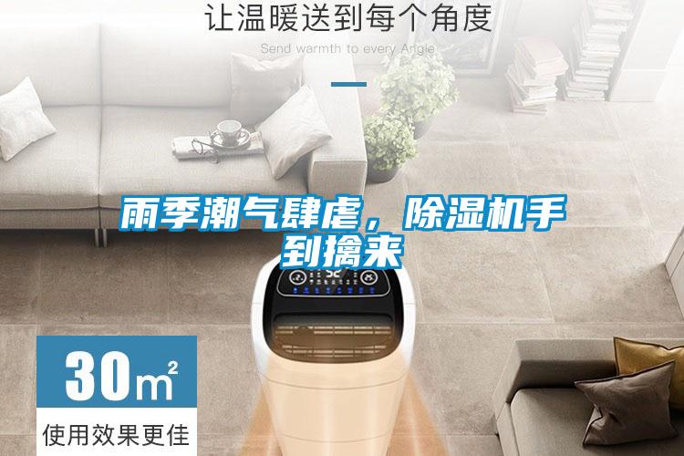 雨季潮气肆虐，草莓视频APP在线观看手到擒来