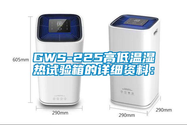 GWS-225高低温湿热试验箱的详细资料：
