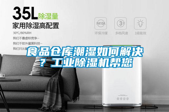 食品仓库潮湿如何解决？工业草莓视频APP在线观看帮您
