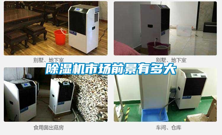 草莓视频APP在线观看市场前景有多大