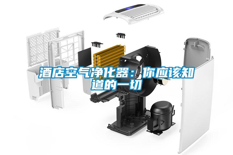 酒店空气净化器：你应该知道的一切