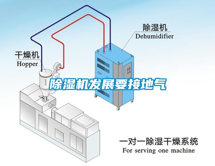 草莓视频APP在线观看发展要接地气