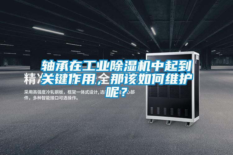 轴承在工业草莓视频APP在线观看中起到关键作用，那该如何维护呢？