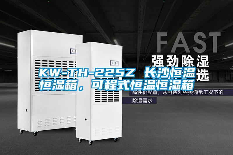KW-TH-225Z 长沙恒温恒湿箱，可程式恒温恒湿箱
