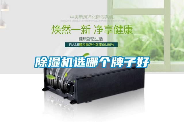 草莓视频APP在线观看选哪个牌子好