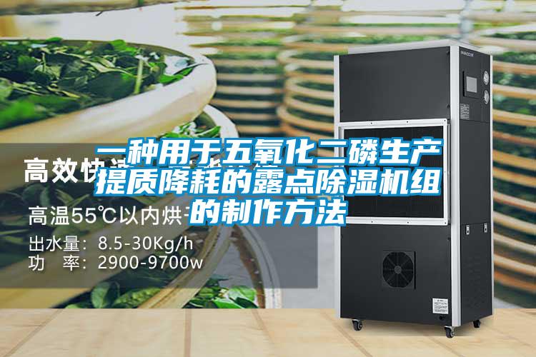 一种用于五氧化二磷生产提质降耗的露点草莓视频APP在线观看组的制作方法
