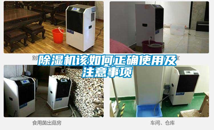 草莓视频APP在线观看该如何正确使用及注意事项
