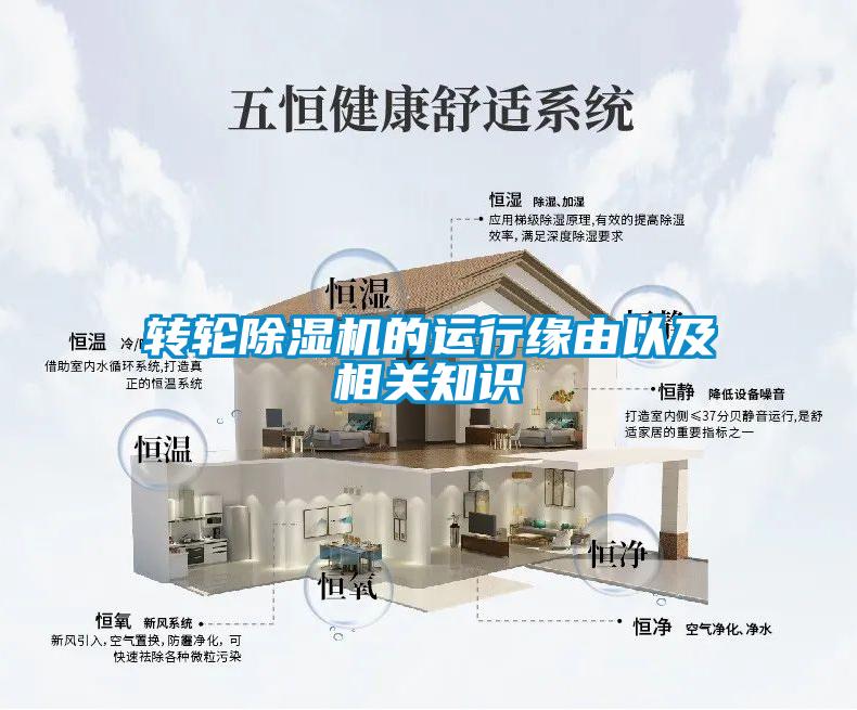 转轮草莓视频APP在线观看的运行缘由以及相关知识