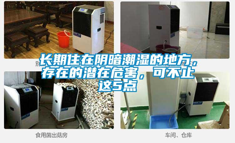 长期住在阴暗潮湿的地方，存在的潜在危害，可不止这5点