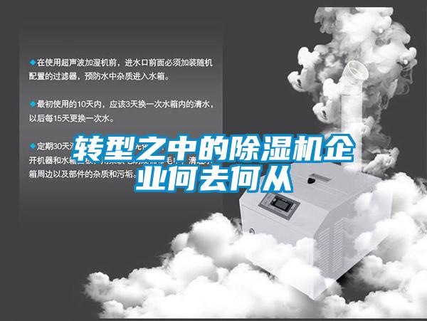 转型之中的草莓视频APP在线观看企业何去何从