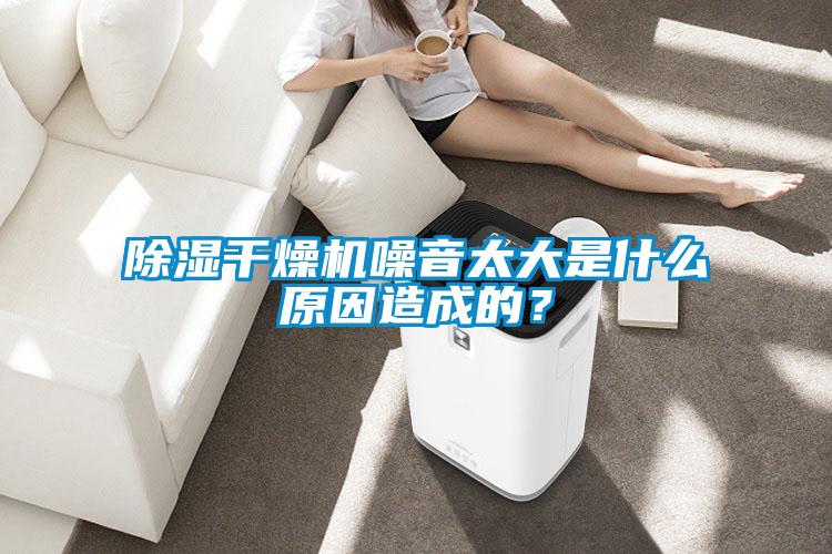 除湿干燥机噪音太大是什么原因造成的？