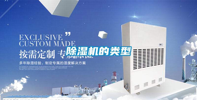 草莓视频APP在线观看的类型