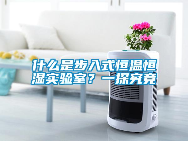 什么是步入式恒温恒湿实验室？一探究竟
